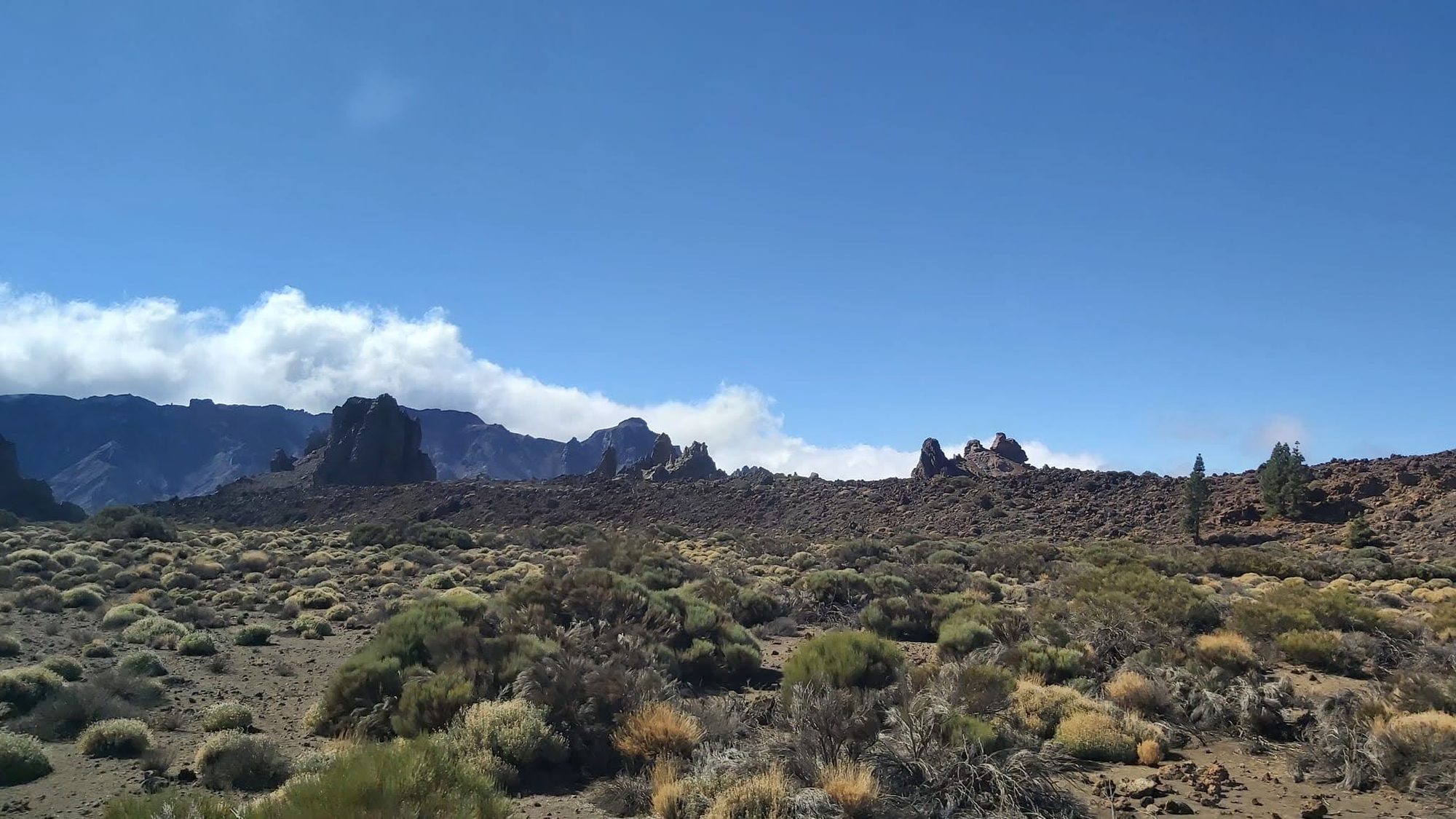 Paisaje volcánico con formaciones rocosas, matorrales y montañas bajo un cielo despejado.